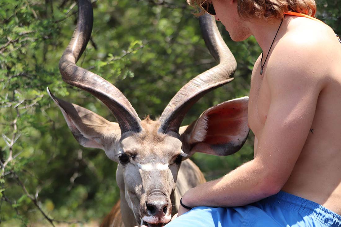 Friendly Kudus